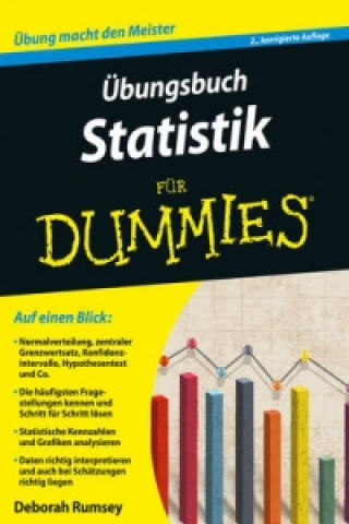 Carte UEbungsbuch Statistik fur Dummies 2e Deborah J. Rumsey
