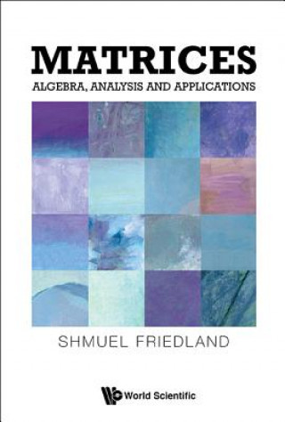 Kniha Matrices: Algebra, Analysis And Applications Shmuel Friedland