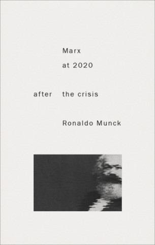 Könyv Marx 2020 Professor Ronaldo Munck