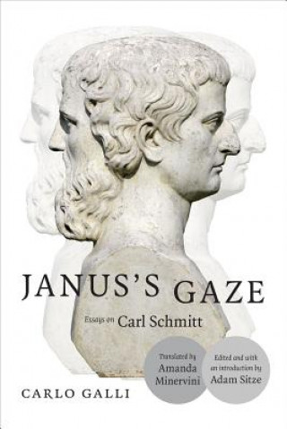 Buch Janus's Gaze Carlo Galli