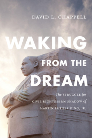 Kniha Waking from the Dream David L. Chappell