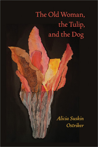 Livre Old Woman, the Tulip, and the Dog, The Alicia Suskin Ostriker