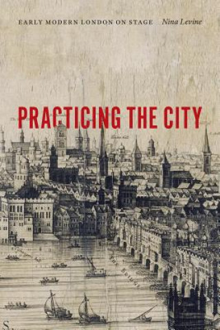 Libro Practicing the City Nina Levine