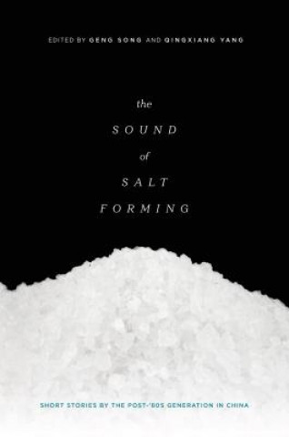 Kniha Sound of Salt Forming Geng Song