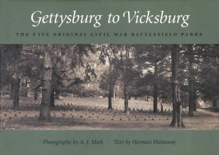 Kniha Gettysburg to Vicksburg A. J. Meek