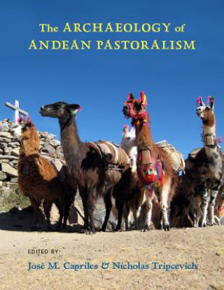 Könyv Archaeology of Andean Pastoralism Jose M. Capriles