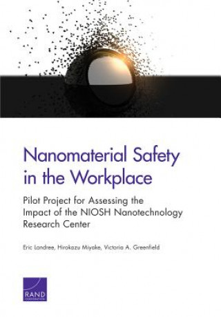 Kniha Nanomaterial Safety in the Workplace Eric Landree