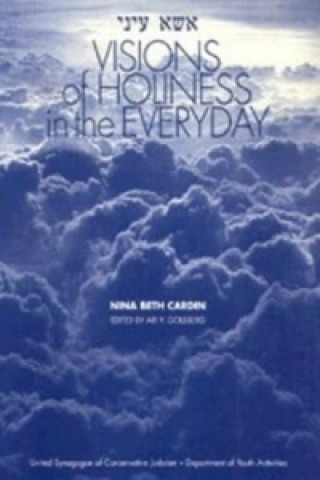 Kniha Visions of Holiness in the Everyday Nina Beth Cardin