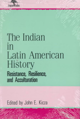 Könyv Indian in Latin American History John E. Kicza