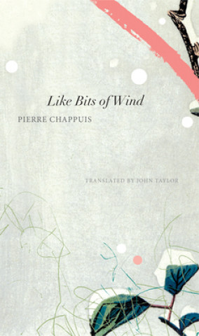 Kniha Like Bits of Wind Pierre Chappuis