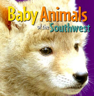 Buch Baby Animals of the Southwest Rising Moon