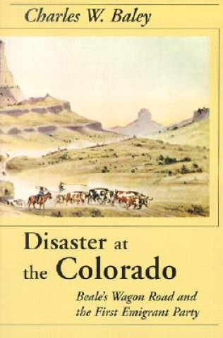 Kniha Disaster At The Colorado Charles W. Baley