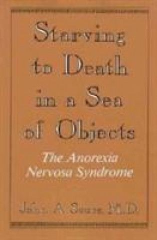 Könyv Starving to Death in a Sea of Objects John A. Sours