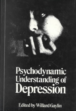 Kniha Psychodynamic Understanding of Depression Willard Gaylin