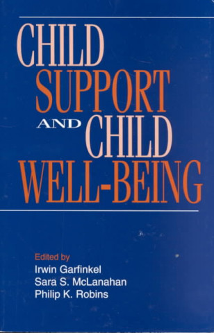 Kniha Child Support and Child Well-being 