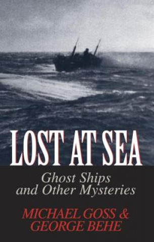 Kniha Lost at Sea Michael Goss