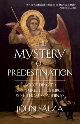 Carte Mystery of Predestination John Salza