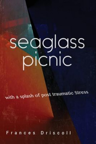 Kniha Seaglass Picnic Frances Driscoll