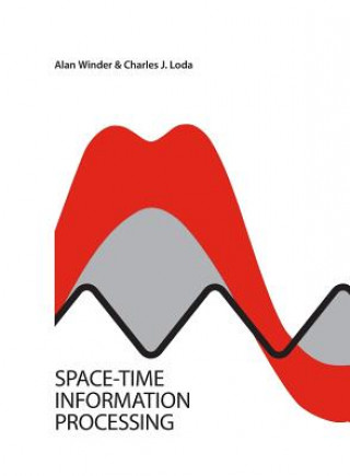 Kniha Space-Time Information Processing ALAN WINDER