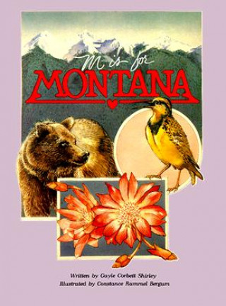 Kniha M Is for Montana Gayle Shirley