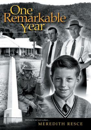 Βιβλίο One Remarkable Year Meredith Resce