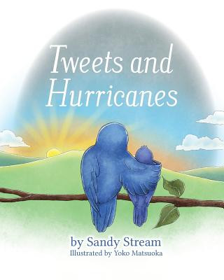 Book Tweets and Hurricanes Sandy Stream