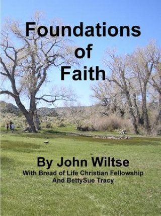 Könyv Foundations of Faith John Wiltse