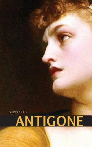 Libro Antigone Kathleen Kaufman