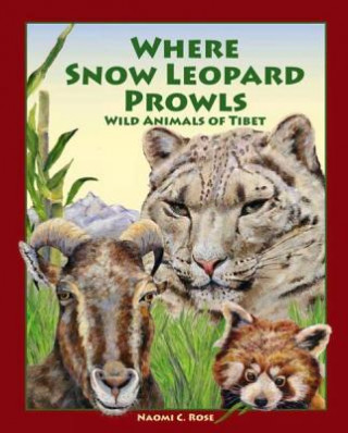Carte Where Snow Leopard Prowls Naomi Rose