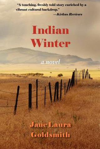 Kniha Indian Winter Jane Goldsmith