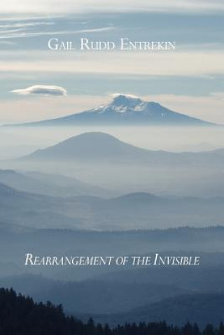 Книга Rearrangement of the Invisible Gail Rudd Entrekin