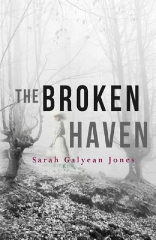 Kniha Broken Haven Sarah Galyean Jones