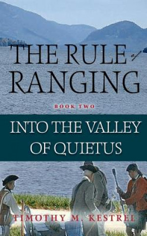 Book Into the Valley of Quietus Timothy M Kestrel