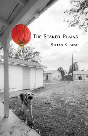 Kniha Staked Plains Stefan Kiesbye