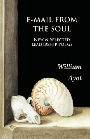 Kniha E-Mail from the Soul William Ayot