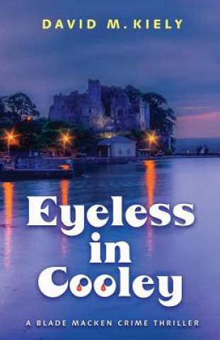 Könyv Eyeless in Cooley David M. Kiely