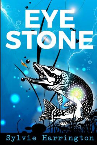 Buch Eye Stone Sylvie Harrington