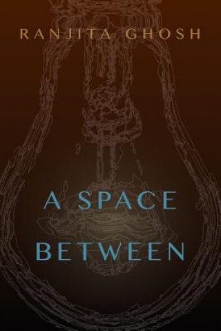 Libro Space Between Ranjita Ghosh