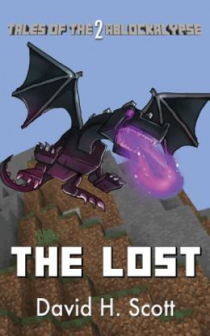 Livro Lost David H Scott