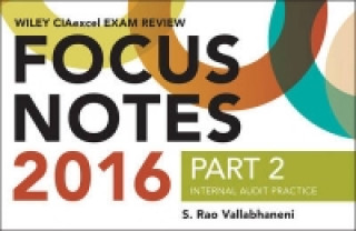 Kniha Wiley CIAexcel Exam Review 2016 Focus Notes S. Rao Vallabhaneni