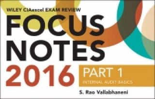 Knjiga Wiley CIAexcel Exam Review 2016 Focus Notes S. Rao Vallabhaneni