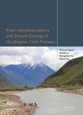 Könyv River Morphodynamics and Stream Ecology of the Qinghai-Tibet Plateau Zhaoyin Wang