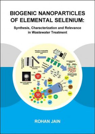 Kniha Biogenic Nanoparticles of Elemental Selenium Rohan Jain