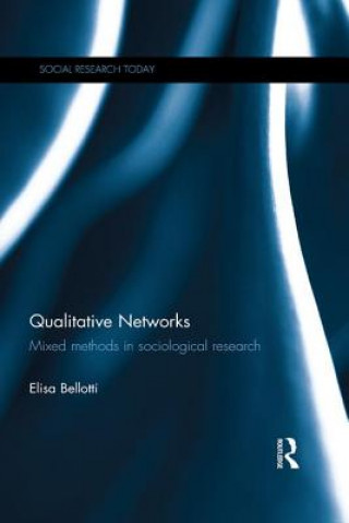 Könyv Qualitative Networks Elisa Bellotti