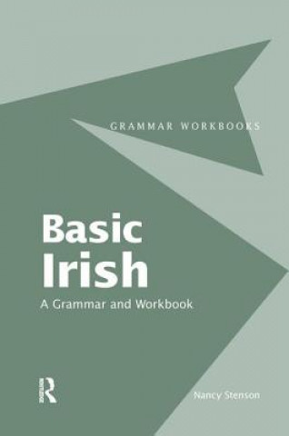 Kniha Basic Irish: A Grammar and Workbook STENSON