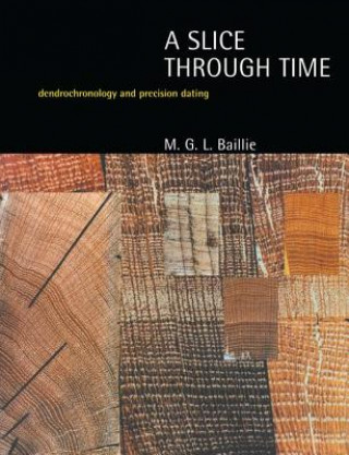 Книга Slice Through Time M. G. L. Baillie