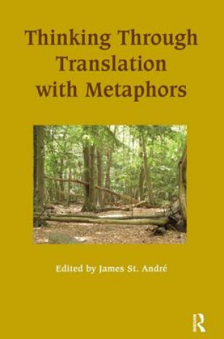 Book Thinking Through Translation with Metaphors 