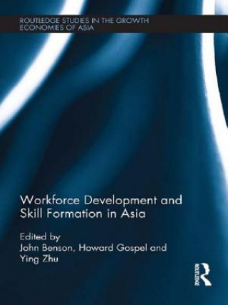 Könyv Workforce Development and Skill Formation in Asia John Benson