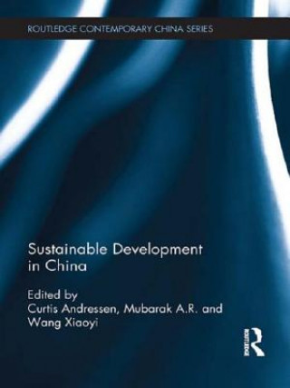 Kniha Sustainable Development in China Curtis Andressen