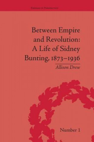 Kniha Between Empire and Revolution Allison Drew